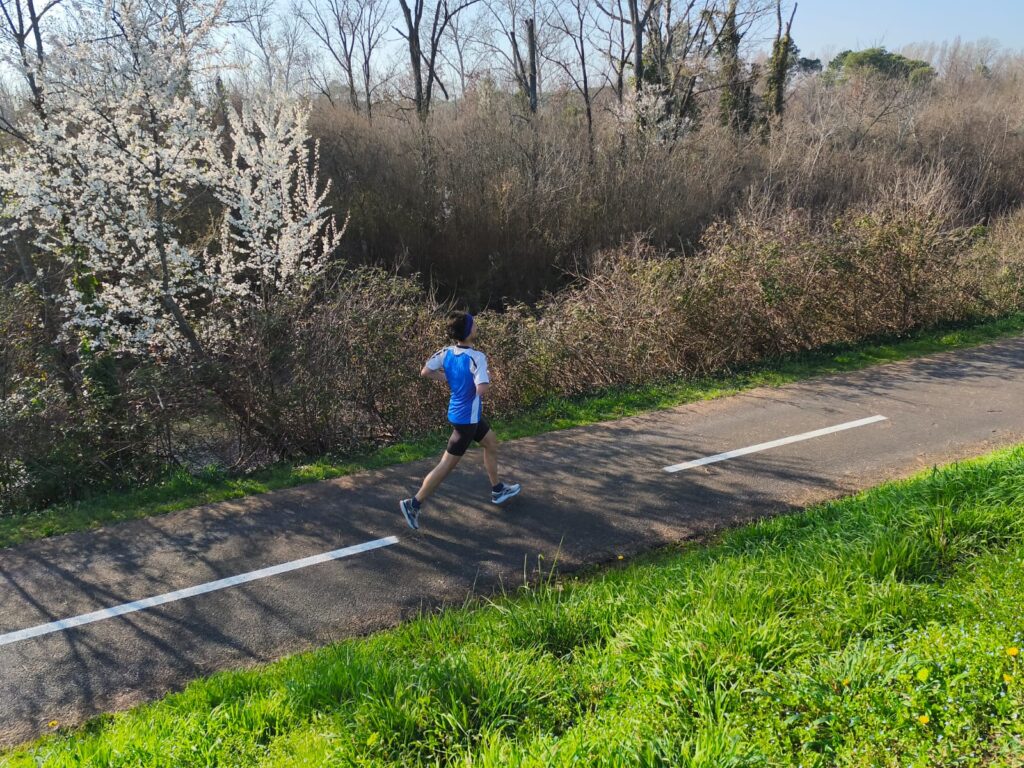Alberoni 9k